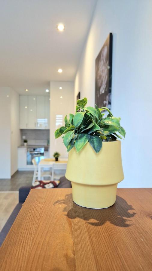 Apartament Czechowska Comfort ルブリン エクステリア 写真